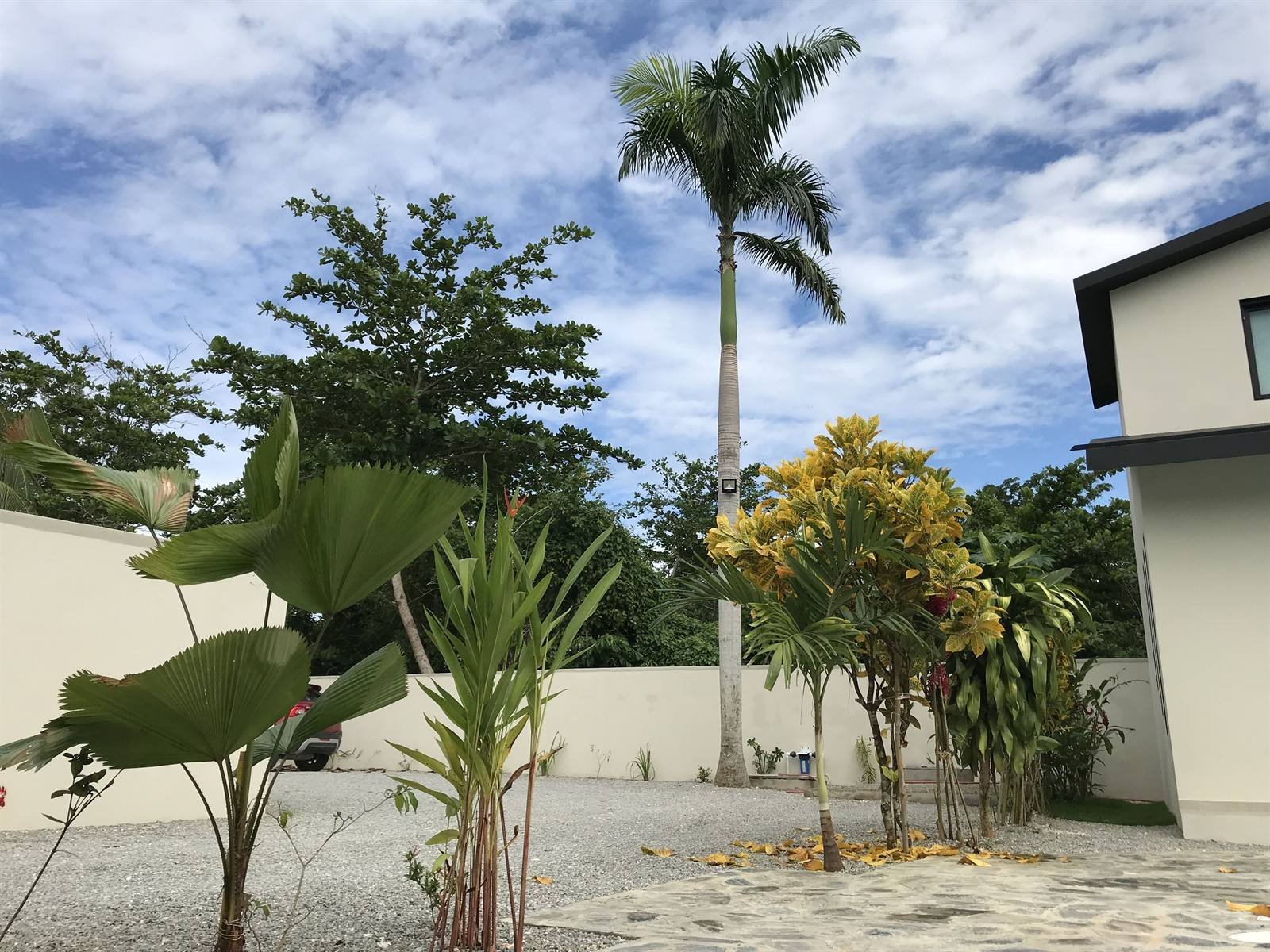 Residence Las Dos Palmas: garden with palms and tropical plants